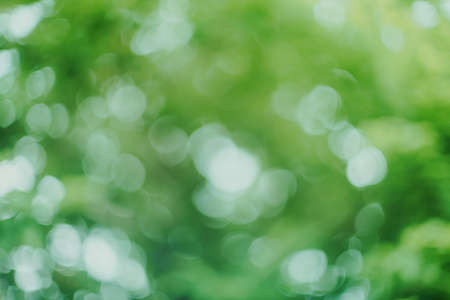 Abstract green bokeh blur backgroundの写真素材