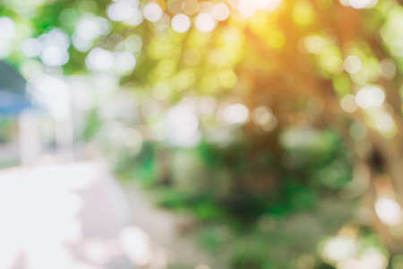 defocused bokeh and blur background of garden trees in sunlight.の写真素材