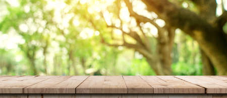 Empty wood table and defocused bokeh and blur background of garden trees with sunlight. product display template.の写真素材