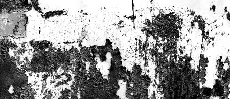 grunge metal and dust scratch black and white texture background panoramicの写真素材