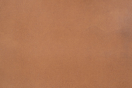 Close up Leather texture and background with copy spaceの写真素材