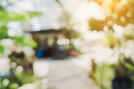 defocused bokeh and blur background of garden trees in coffee shop with sunlight.の写真素材