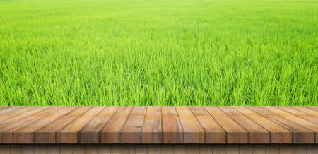 paddy rice and Empty wood table in rice field with copy space, display montage.の写真素材
