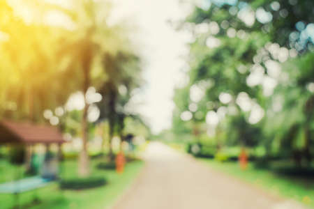 defocused bokeh and blur background of garden trees in sunlight with vintage toned.の写真素材