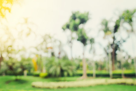 defocused bokeh and blur background of garden trees in sunlight with vintage toned.の写真素材