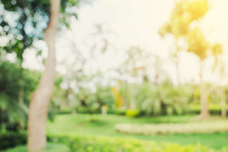 defocused bokeh and blur background of garden trees in sunlight with vintage toned.の写真素材