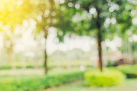 defocused bokeh and blur background of garden trees in sunlight with vintage toned.の写真素材