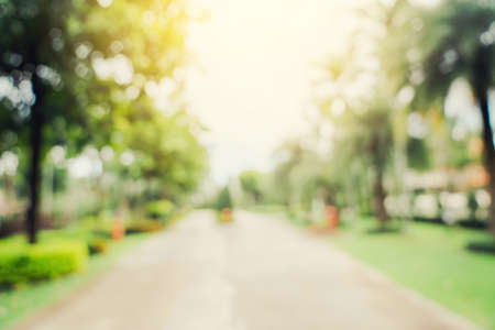 defocused bokeh and blur background of garden trees in sunlight with vintage toned.の写真素材