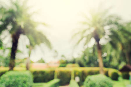 defocused bokeh and blur background of garden trees in sunlight with vintage toned.の写真素材