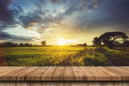 Wood table and rice field and sunset blue sky with lens flare, display montage for product.の写真素材