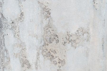 Empty white concrete wall texture and background with copy spaceの写真素材