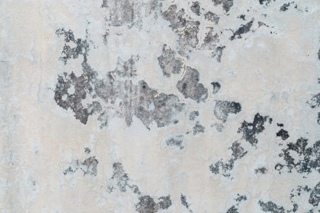 Empty grunge concrete wall texture and background with copy spaceの写真素材