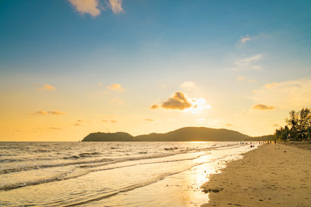 Sunny exotic beach by the ocean with palm trees at sunset in summerの写真素材