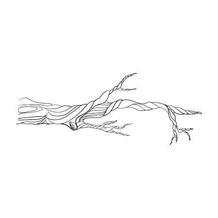 one stylized tree branch. isolated on a white background. Hand drawing sketch.のイラスト素材