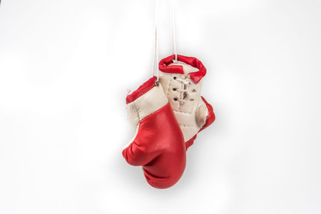 Boxing Gloves model on white backgroundの写真素材
