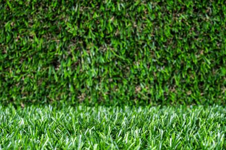 artificial grass backdrop with selective focus.の写真素材