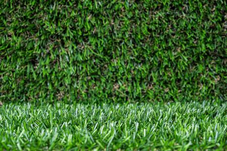 artificial grass backdrop with selective focus.の写真素材