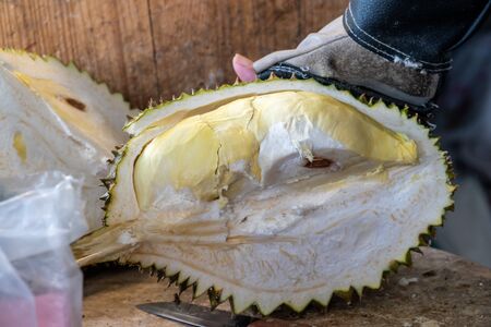 Cutting Thai fresh durian and ready to eat.の写真素材