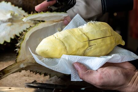 Cutting Thai fresh durian and ready to eat.の写真素材