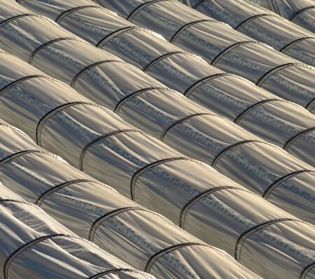 Greenhouses tunnel for intensive agricultureの写真素材