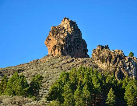 Natural park Roque Saucillo, Gran canaria, Canary islandsの写真素材