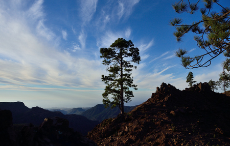 Mountain landscape during the dawn, natural park of Pilancones, Gran Canariaの写真素材