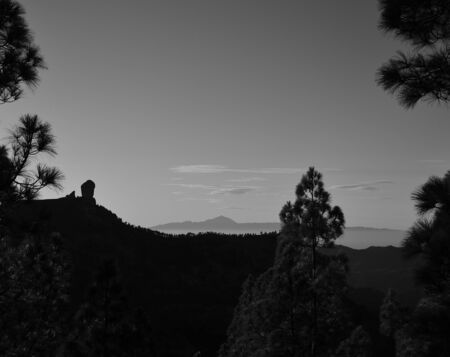 Mountain landscape among pine trees, natural park of Roque Nublo, summit of Gran Canariaの写真素材