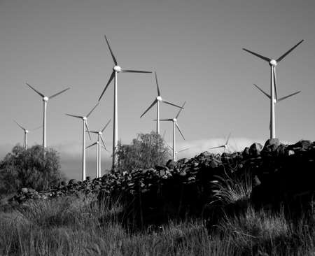 Rustic land in the foreground and wind farm in the background, monochrome modeの写真素材