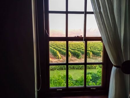 Window with curtain draped and vineyard sunset view. Interior close up window photoの写真素材