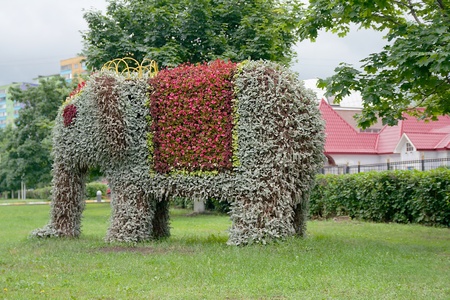 flowerbed in the shape of elephant in Ramenskoye near Moscowの写真素材
