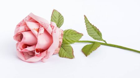 Fold the banknotes into rose.の写真素材