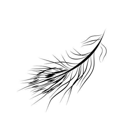 Continuous line drawing. line art bird feather Vectorのイラスト素材