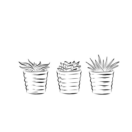 Line drawing. Line art plant in flowerpot. Vectorのイラスト素材