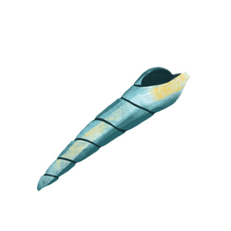 png drawing of sea ocean voyage beautiful shell