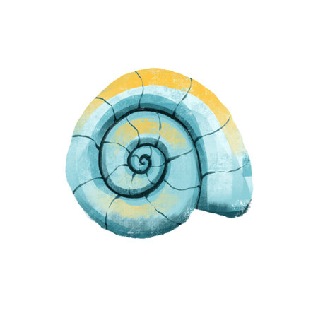 png drawing of sea ocean voyage beautiful shellの写真素材