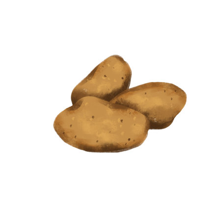 png digital drawing on kitchen theme for your design - potatoの写真素材