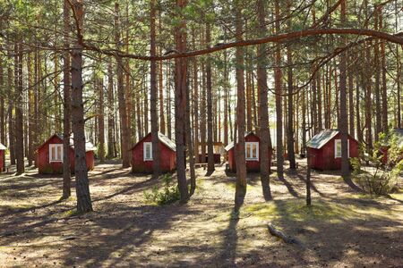  small houses in summer forest small houses in summer forest の写真素材