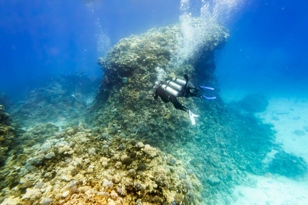 Divers in gear swim under water amid coral reef in the Red Sea, Egypt