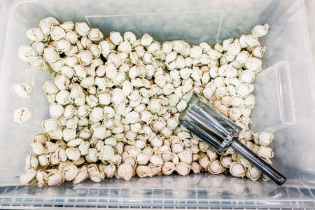 A bunch of raw ravioli in a plastic container with scoopの写真素材