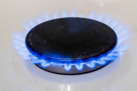 Blue fire burning gas burner household gas ovens