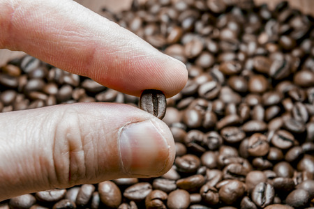 Fingers keep roasted coffee bean on the background of the coffee beansの写真素材