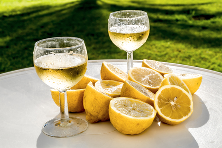 The wine glasses and cut slices of lemons on the table in sunlightの写真素材