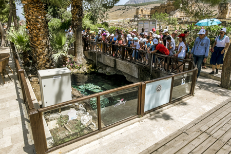 Pamukkale. Turkey.June 7, 2018.Vacationers are gaining water in the thermal springs near the pool of Cleopatra in Pamukkaleのeditorial素材