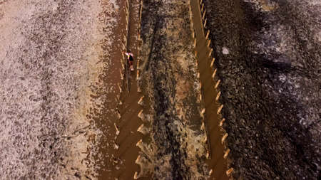 Evpatoria.Crimea.11 september 2021. Aerial view of the salt lake Sasyk-Sivash during flowering. Evpatoria, Crimeaのeditorial素材