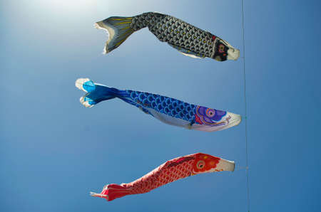 Carp streamerの写真素材