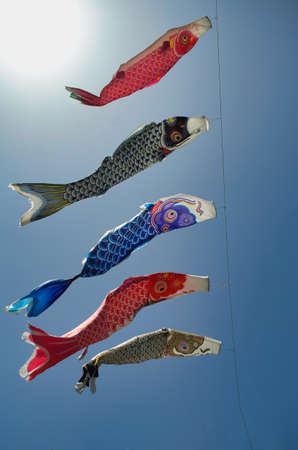 Carp streamerの写真素材