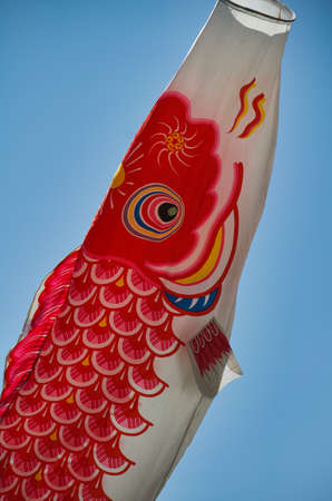 Carp streamerの写真素材