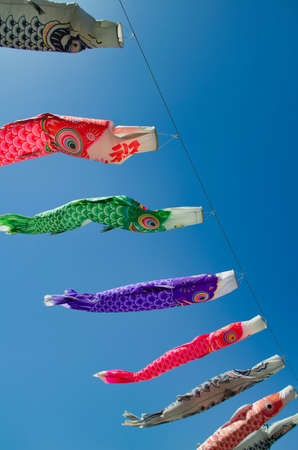 Carp streamerの写真素材