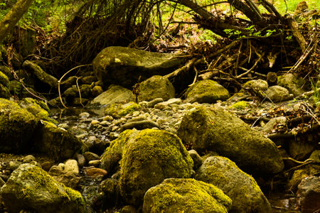 River stones in the middle of dry river bad in the summerの写真素材