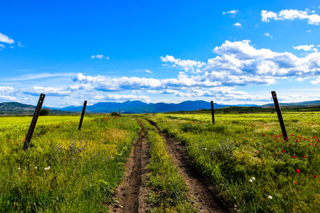 Road to the mountains on dirt road passing the meadows in springtimeの写真素材